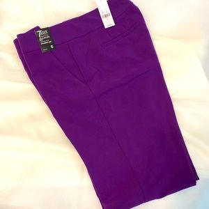 Purple Business Pants